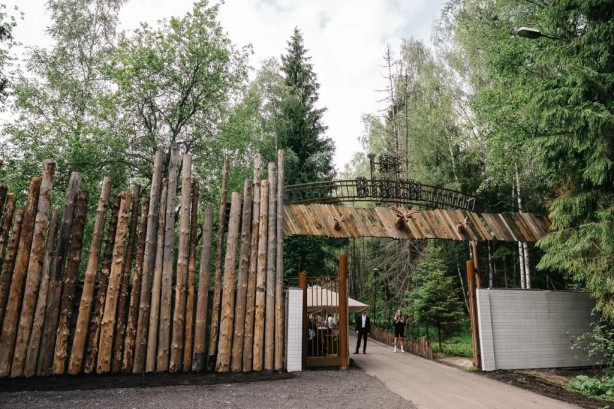 Pogostite.ru - THE BIRCH #73