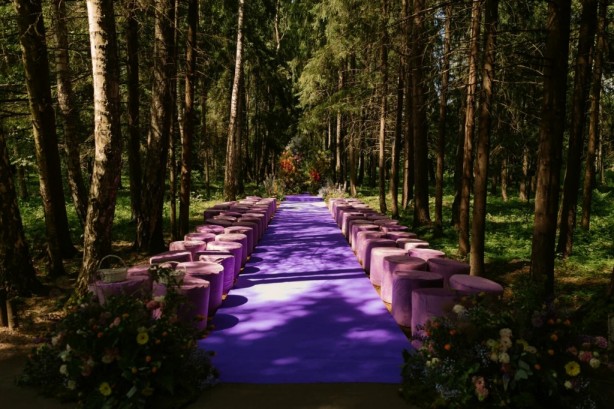 Pogostite.ru - THE BIRCH #65