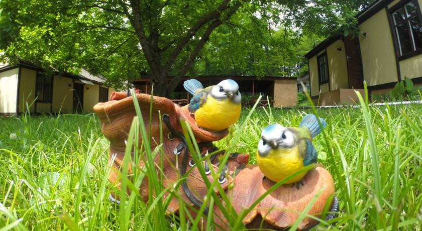 Mini animali di classe incontri liste
