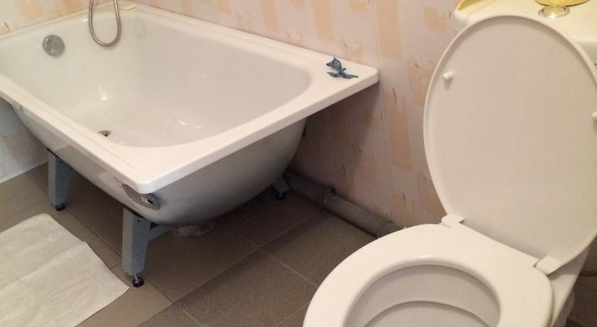 zhokej nizhnij tagil na territorii konnogo kompleksa